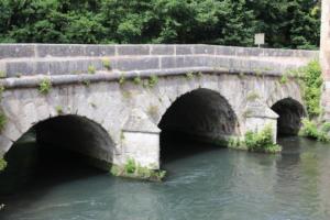 IMG.0239