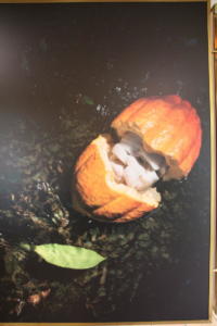 IMG 0164