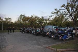 IMG 0235A