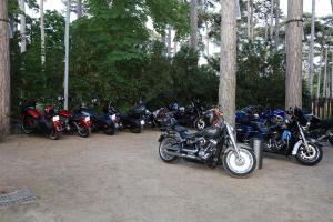 IMG 0282