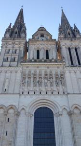 P1010646A