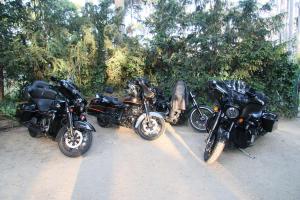 IMG 0005 (1)