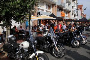 IMG 0081 (1)