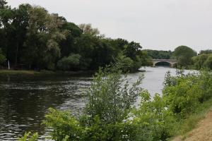 IMG 0390